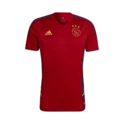 Camiseta Adidas Ajax De Ămsterdam Training 2022-2023